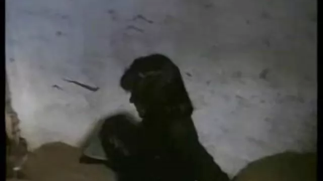 XXX χωρίς εγγραφή  Μελαχρινή καμπύλες σεξ βιντεο πορνο γκει