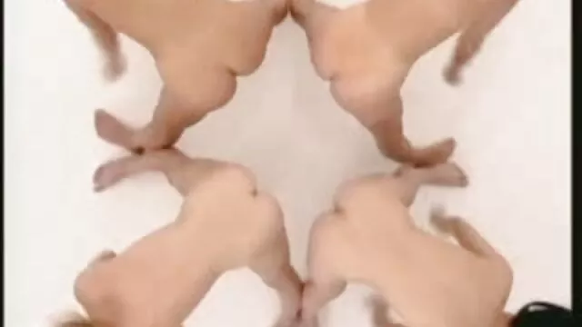 XXX χωρίς εγγραφή  Πώς να σχίσει σεξ ελληνικα βιντεο κολπική
